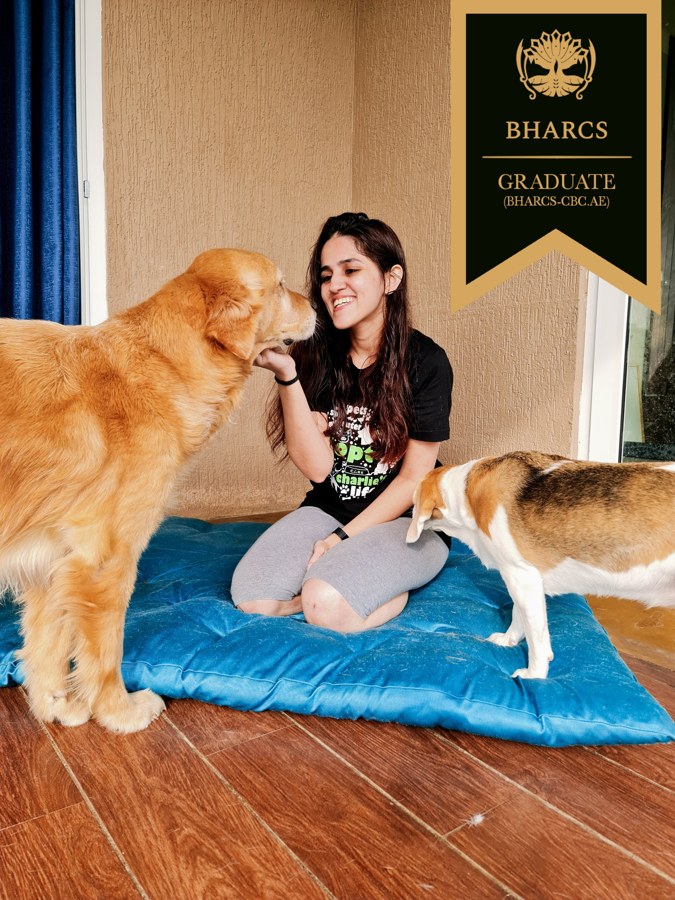 Sowjanya S Vijayanagar at home with her golden retriever and beagle