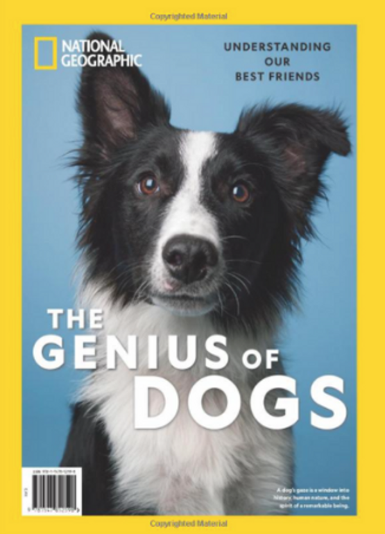 National Geographic bookazine cover: The Genius of Dogs — Understanding Our Best Friends