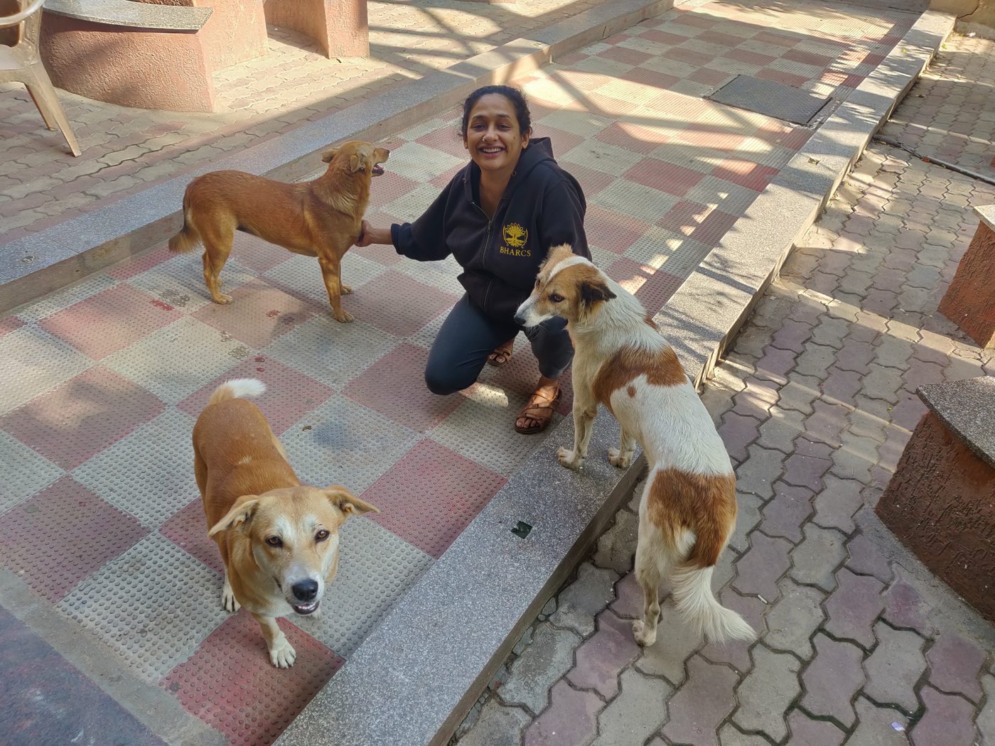 Sindhoor Pangal in the field with a group of free-living dogs